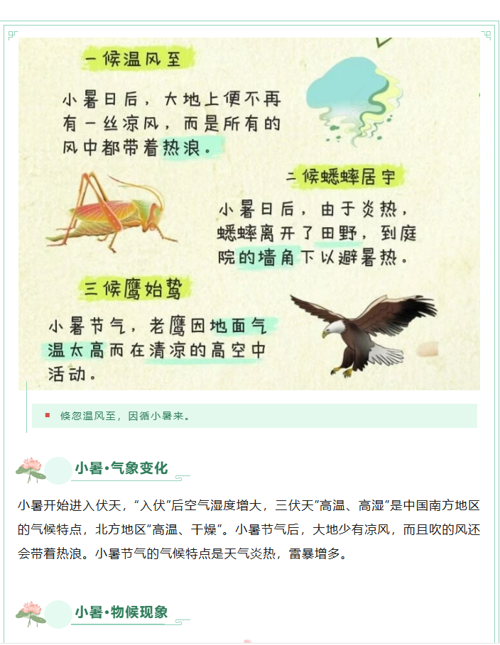 健康科普|小暑节气养生要点