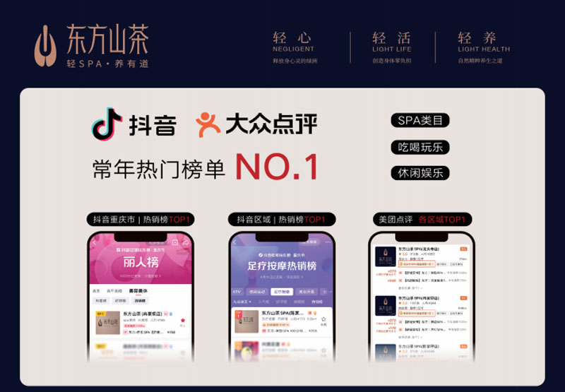 理事单位——东方山茶