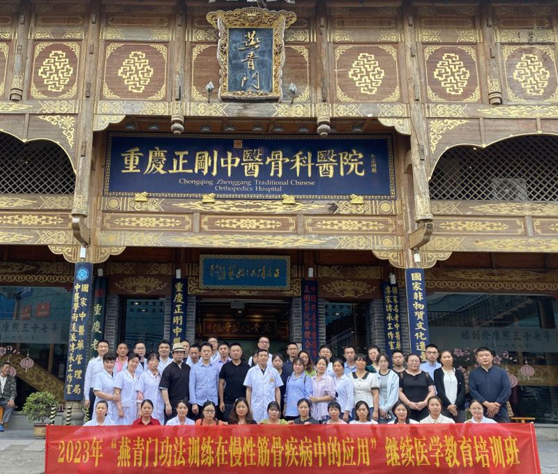 协会康复调理专委会组织参加“燕青门功法训练在慢性筋骨疾病中的应用”培训会